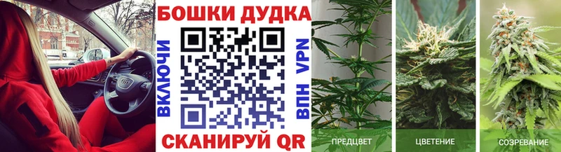 Какие есть наркотики Петровск Cocaine  Бутират  ГАШ  Alpha PVP  Каннабис  МЕФ 
