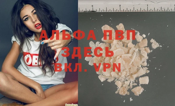 apvp Алзамай