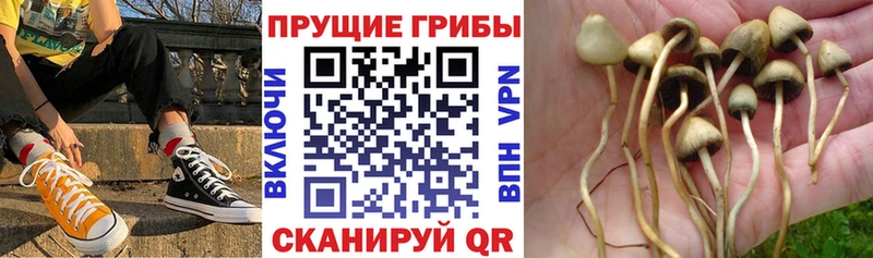 Псилоцибиновые грибы ЛСД  МЕГА как зайти  Петровск 
