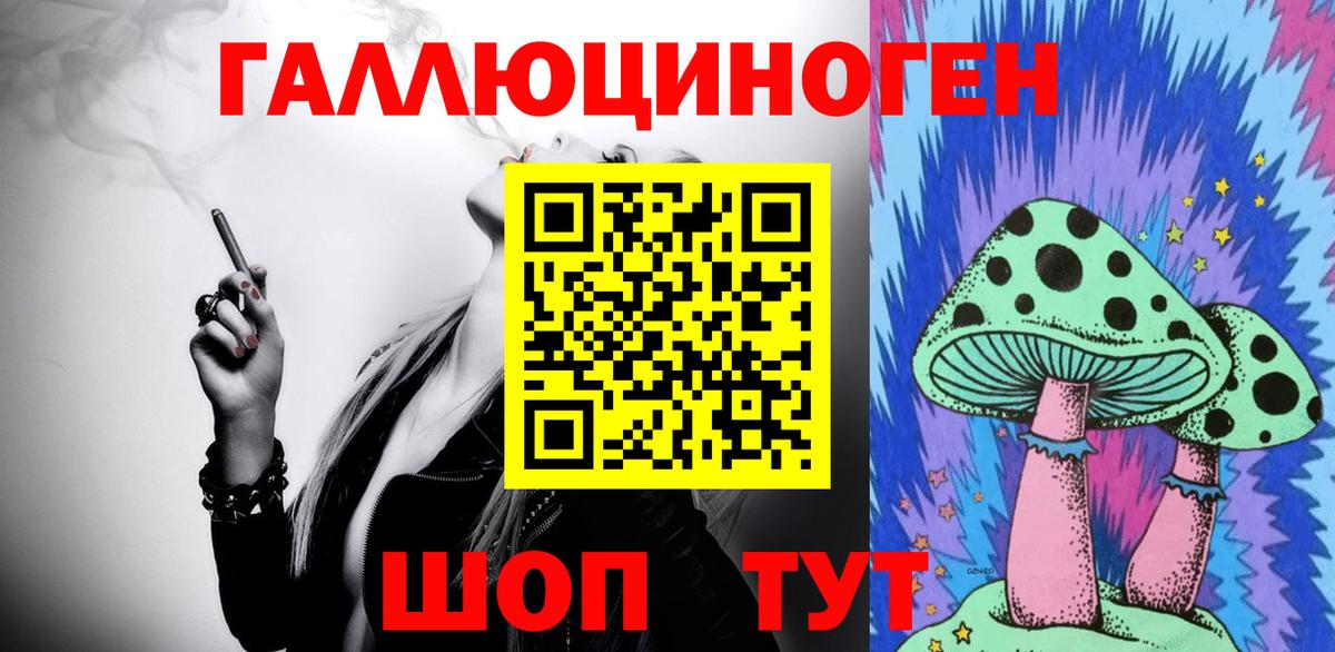 Галлюциногенные грибы Psilocybine cubensis  где найти   Петровск  Вход с VPN  Галлюциногенные грибы прущие грибы 